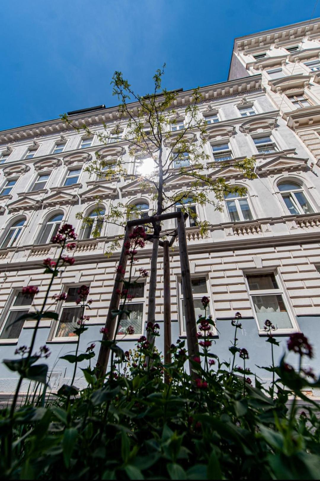 Vienna My City Apartment 2Bedroom Exteriör bild